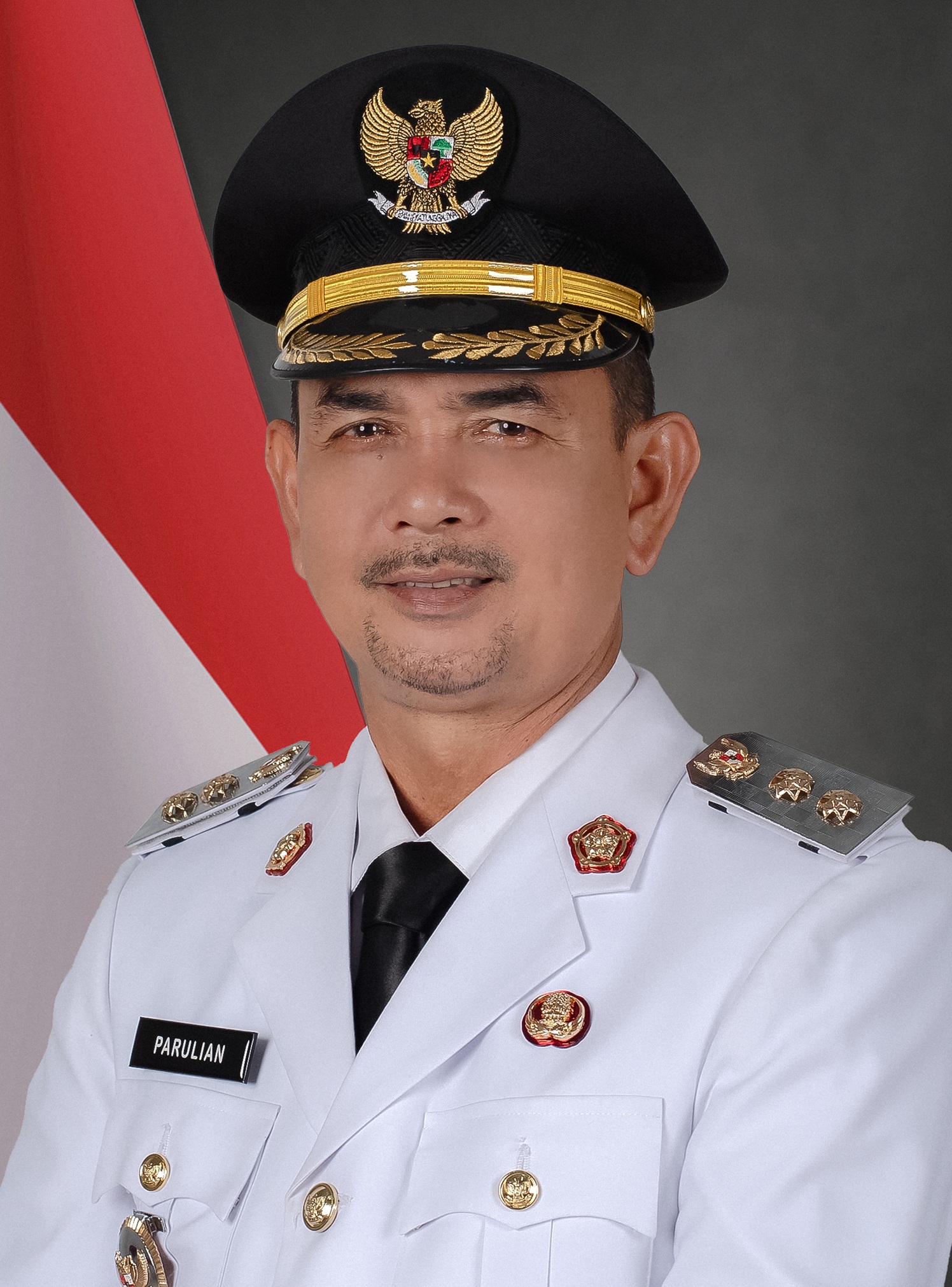 Daftar Wakil Bupati Pasaman