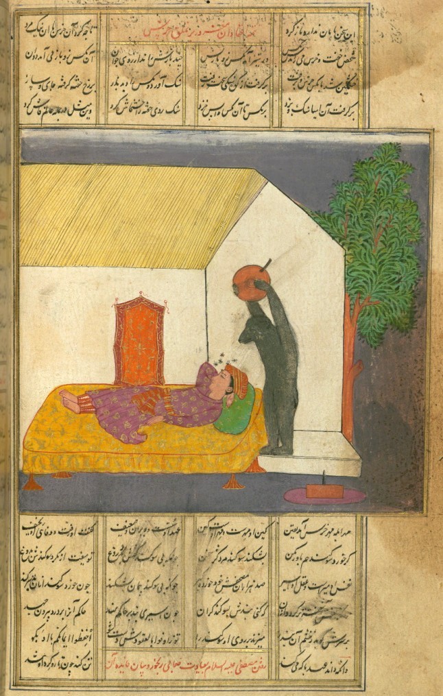 Beruang dan Tukang Kebun