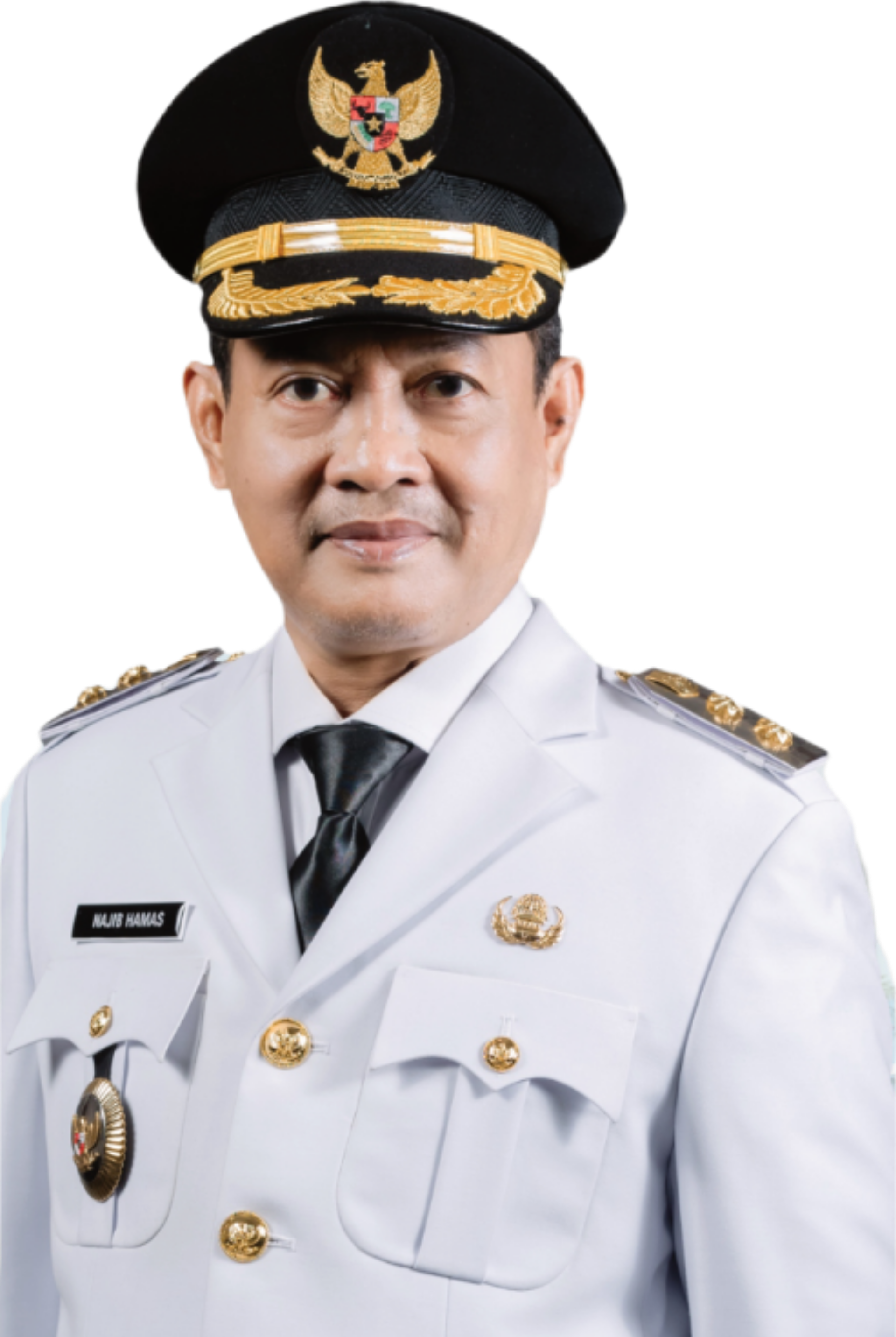 Daftar Wakil Bupati Serang