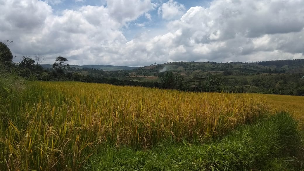 Gunung Saribu, Munte, Karo