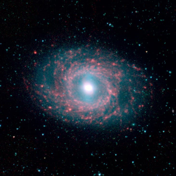 Messier 95