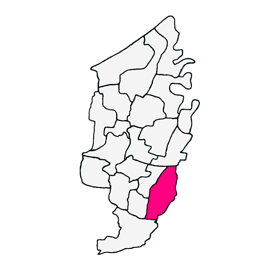 Widodaren, Petarukan, Pemalang