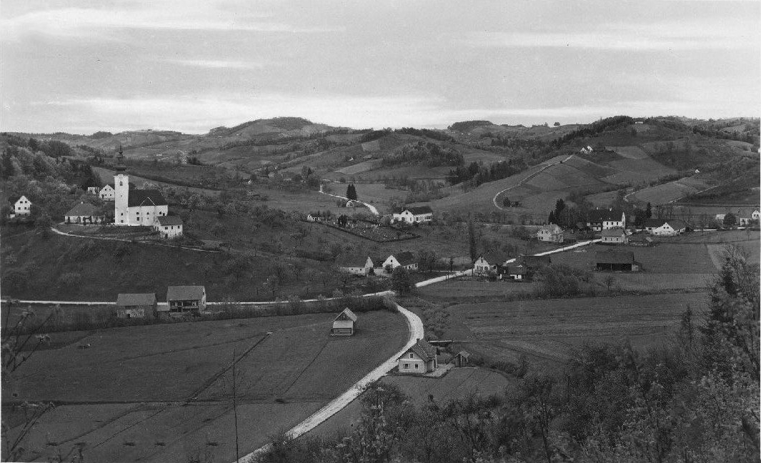 Munisipalitas Kungota