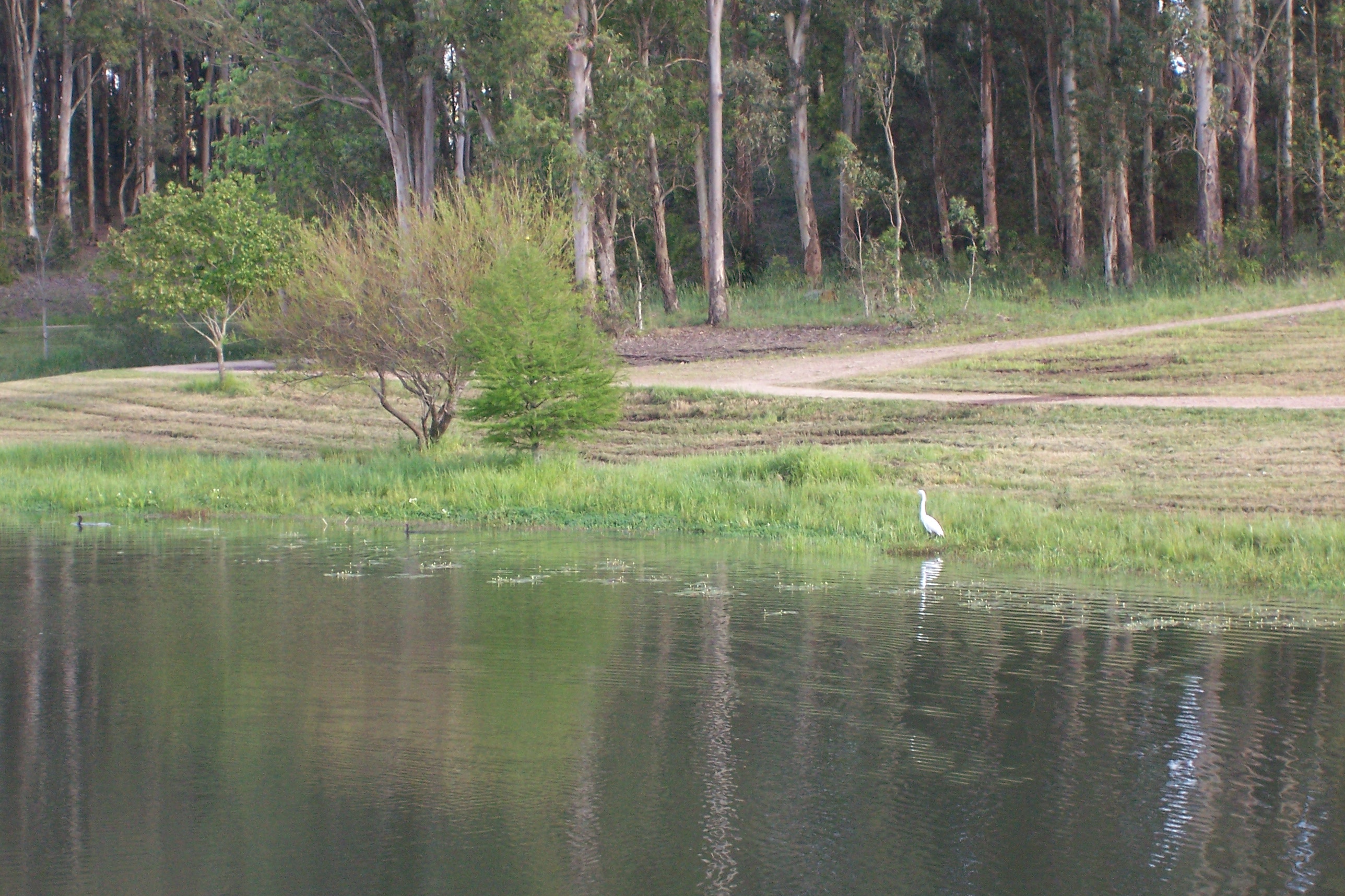 Departemen Tacuarembó