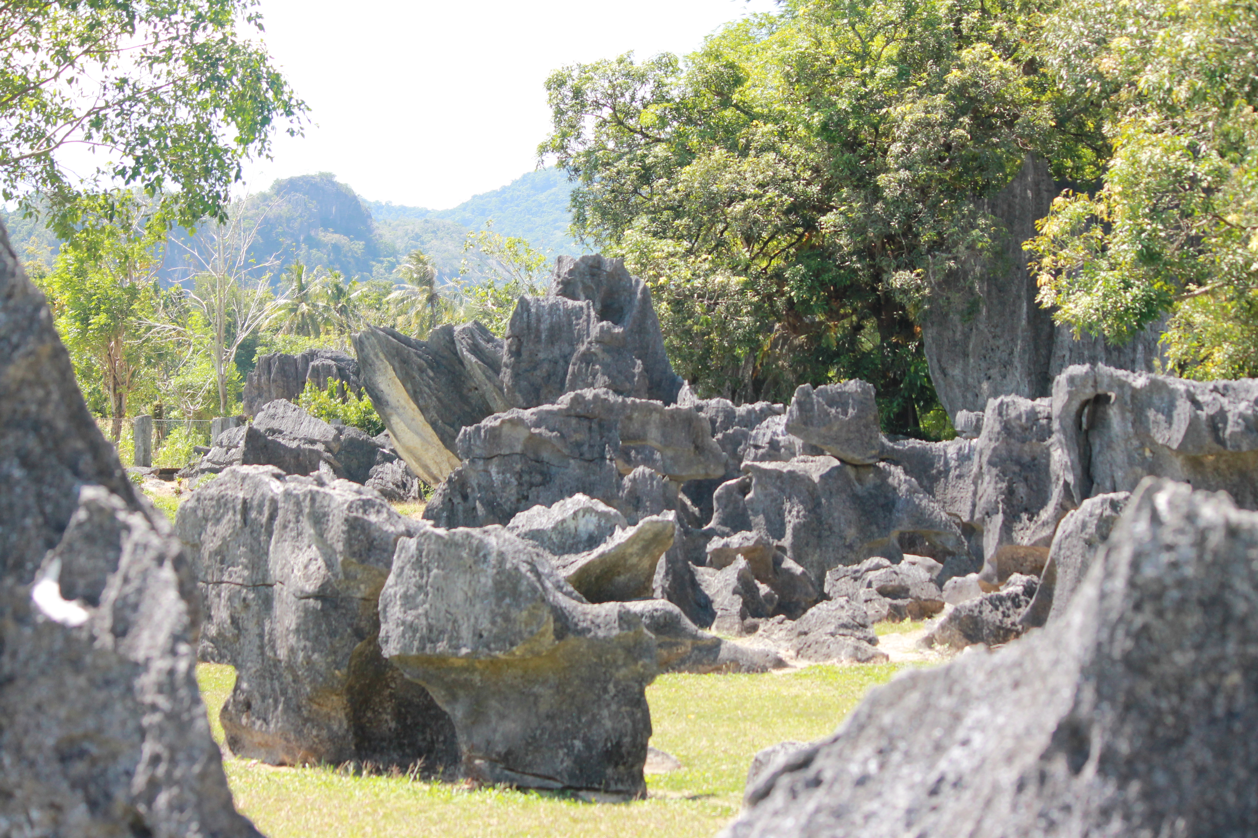 Cagar Alam Bantimurung