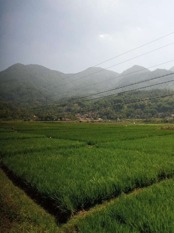 Karangmulya, Kadungora, Garut