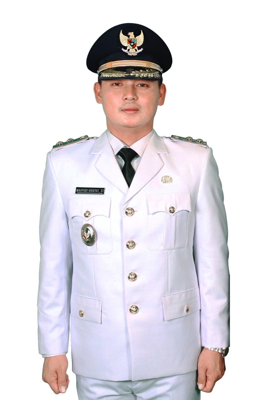 Wahyudi Hidayat (politikus)