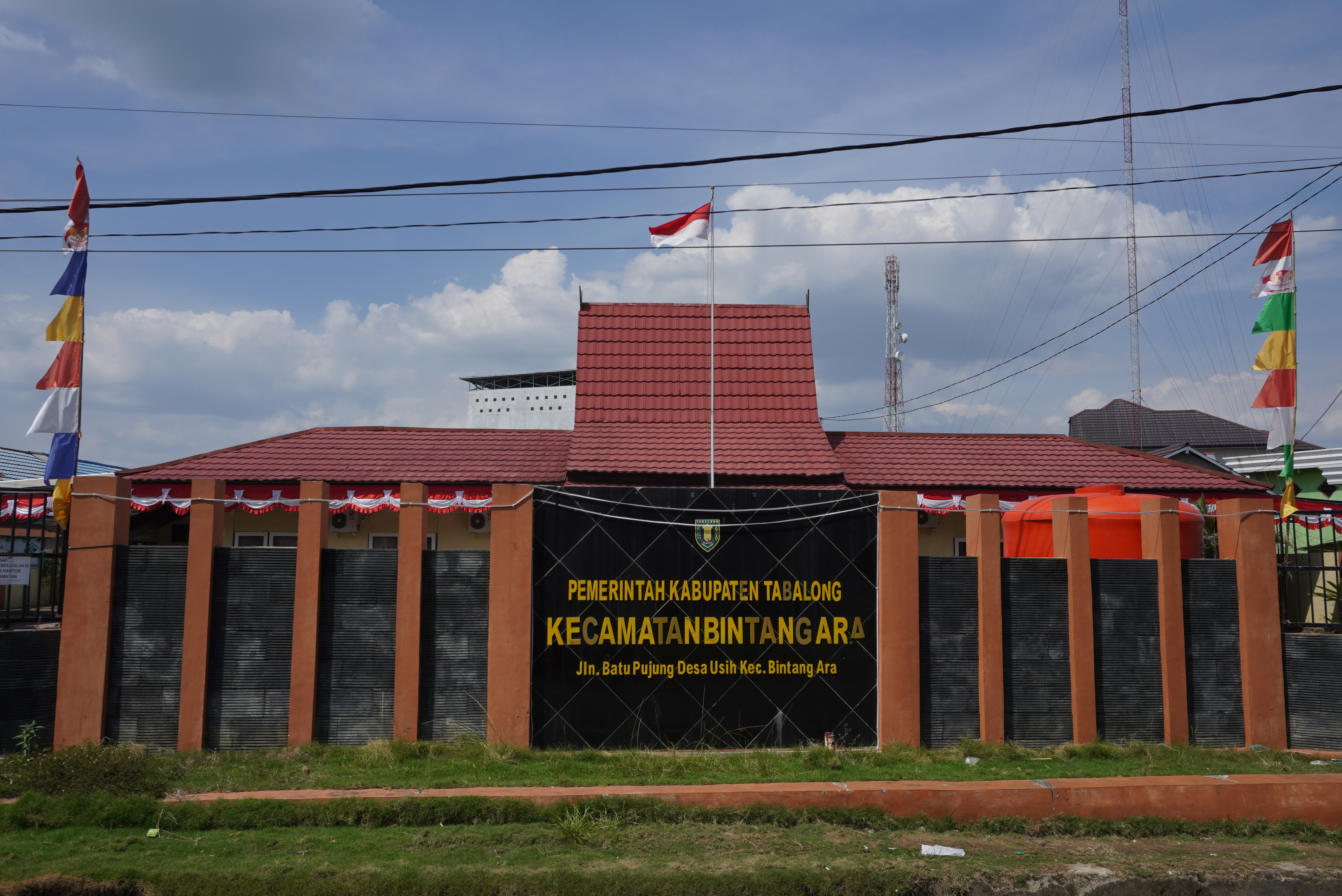 Bintang Ara, Tabalong