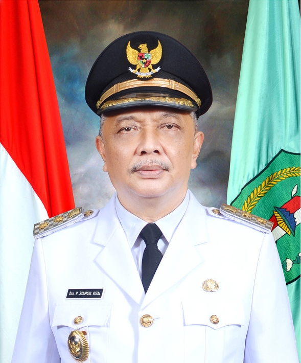 Syamsul Rizal (politikus)