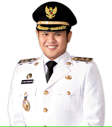 Daftar Wakil Bupati Serdang Bedagai