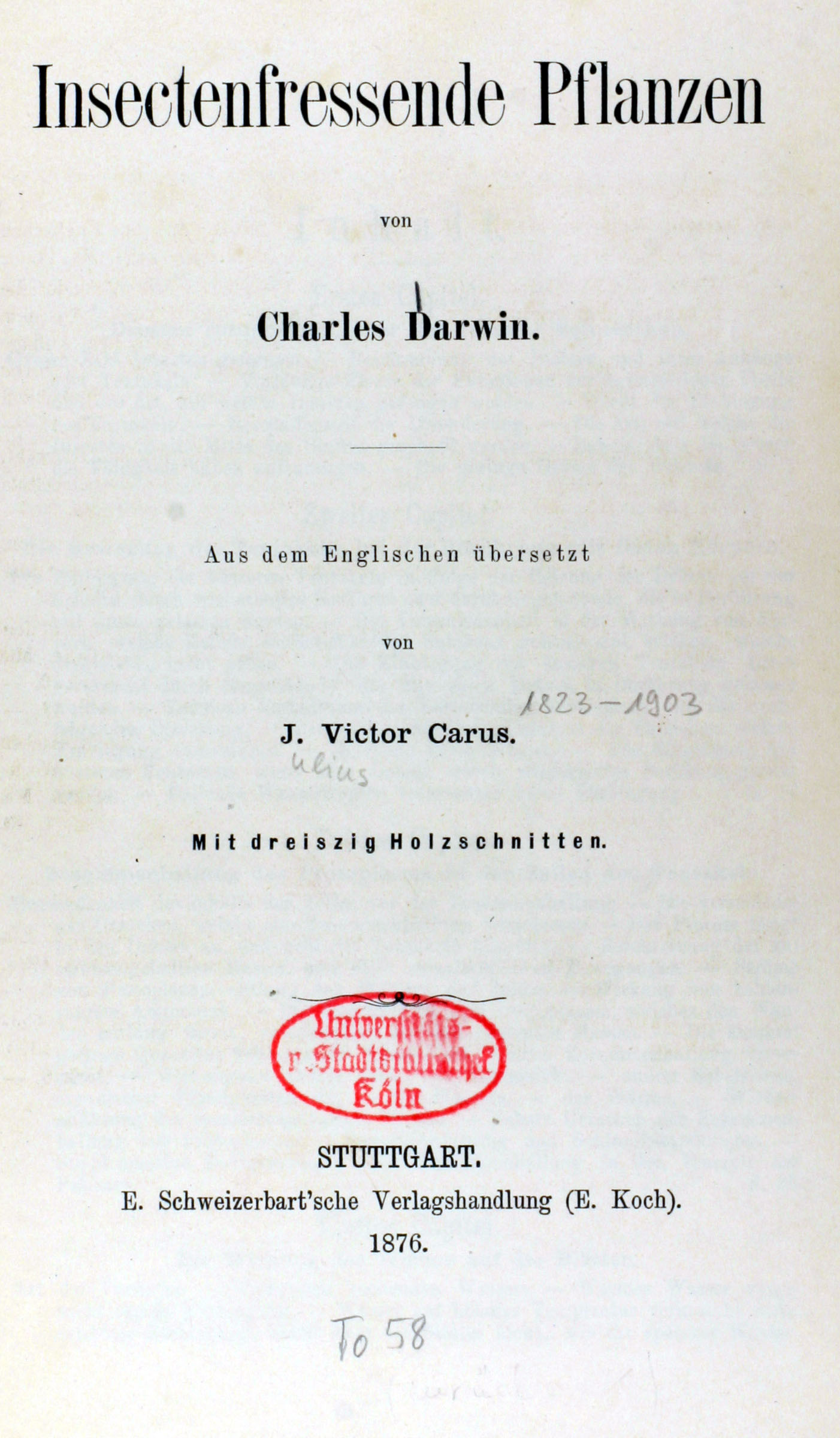 Insectivorous Plants