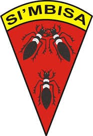 Batalyon Infanteri 125