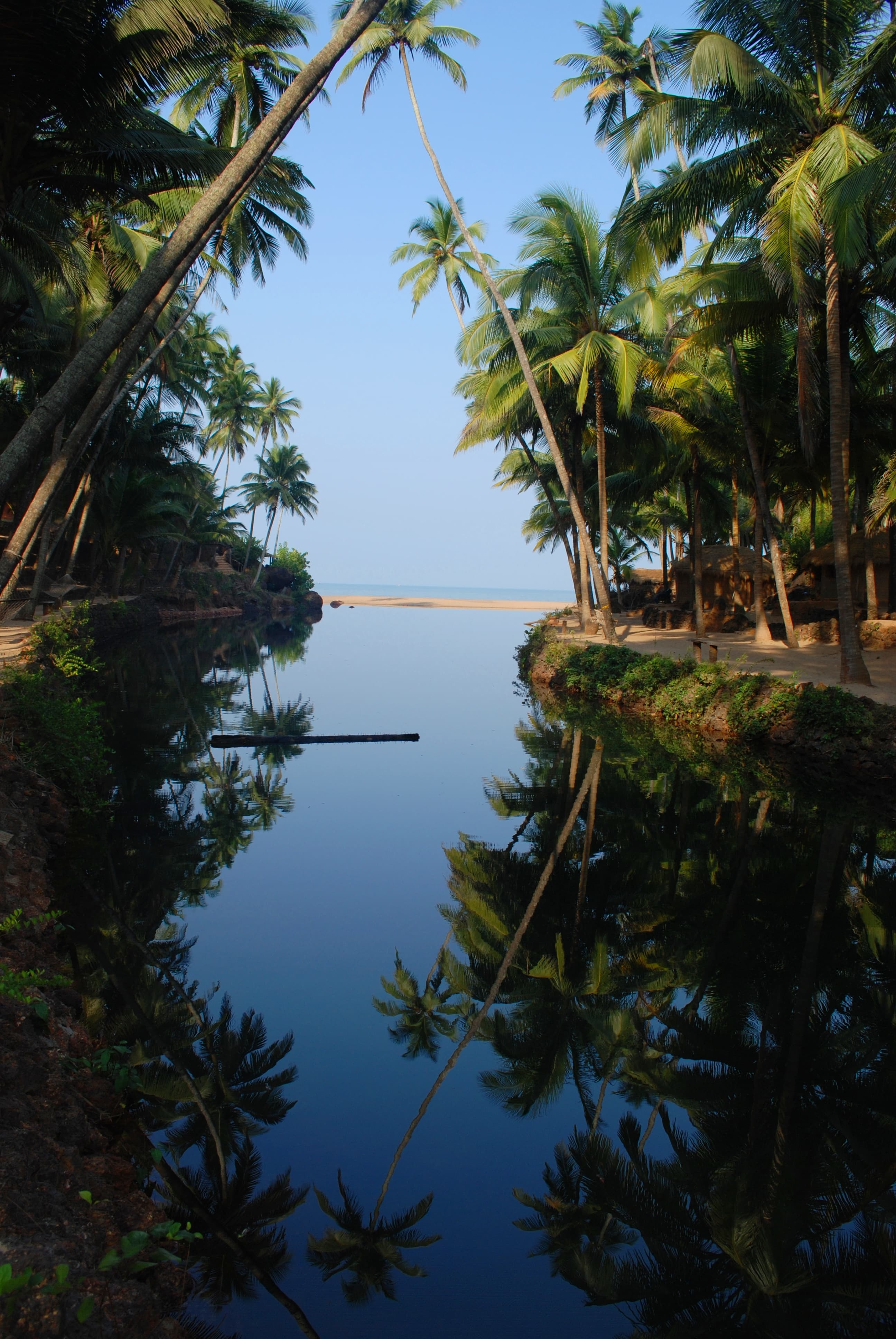 Produksi kelapa di India