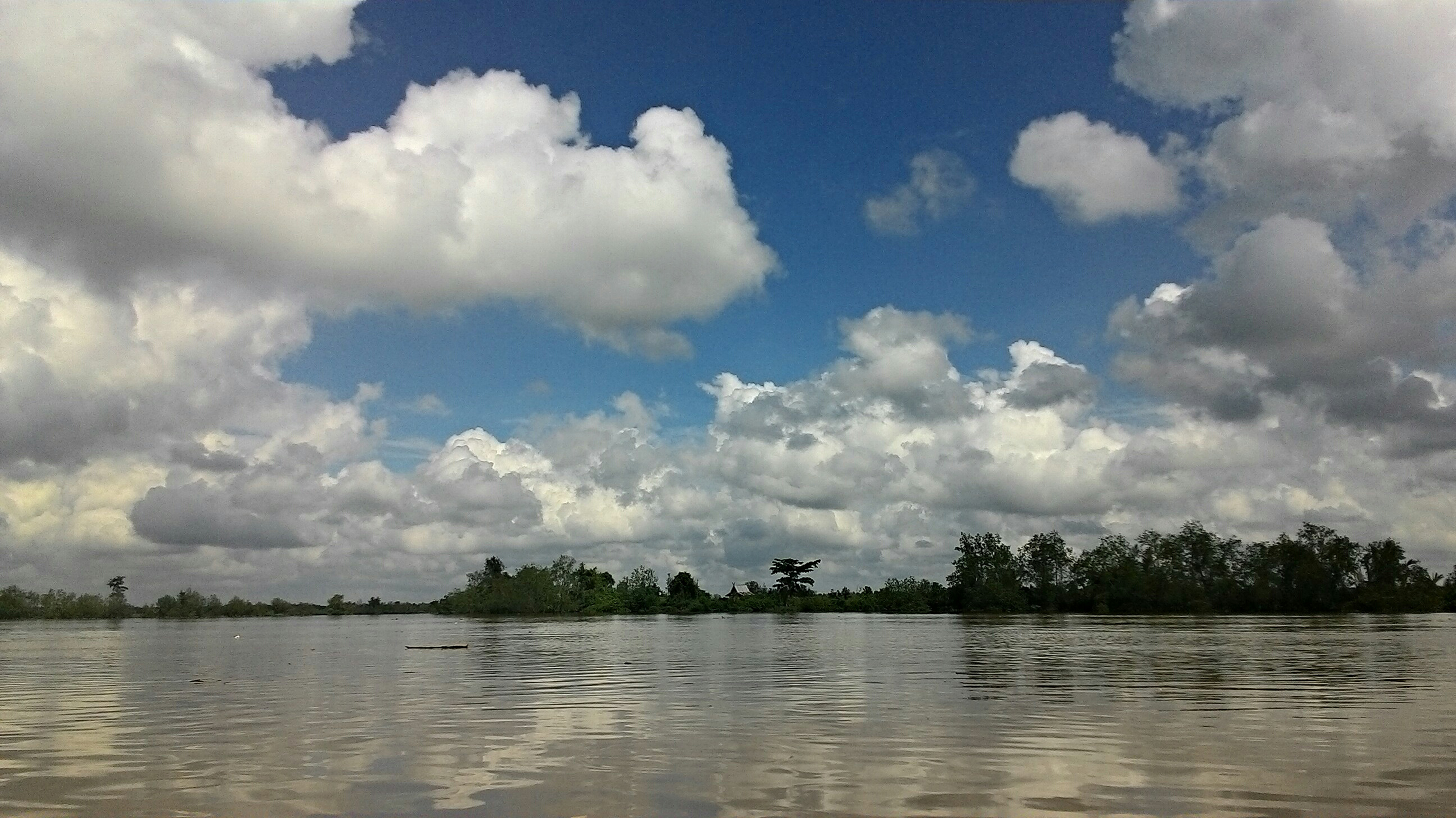 Kabupaten Tanjung Jabung Barat