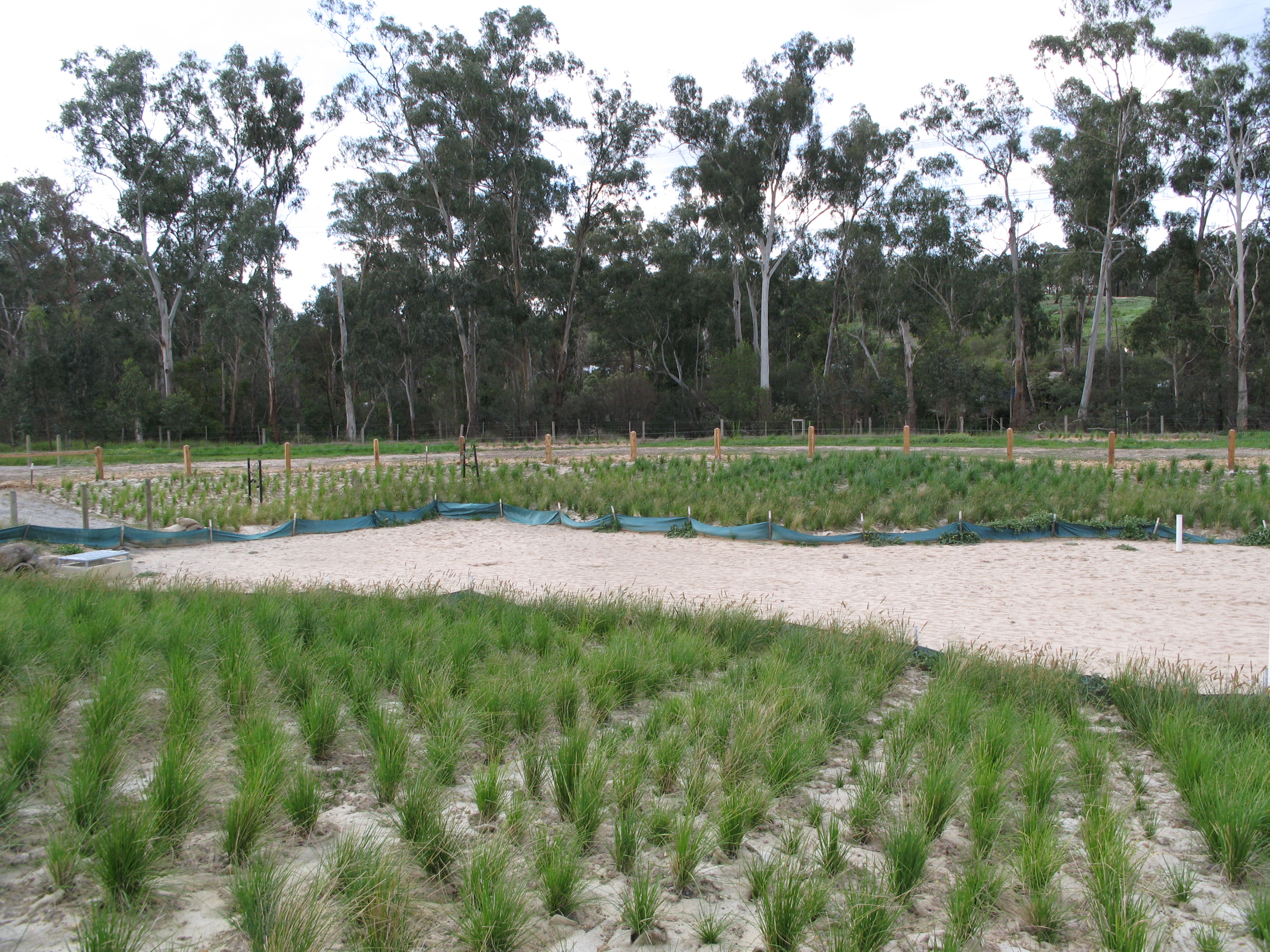 Pemulihan lingkungan