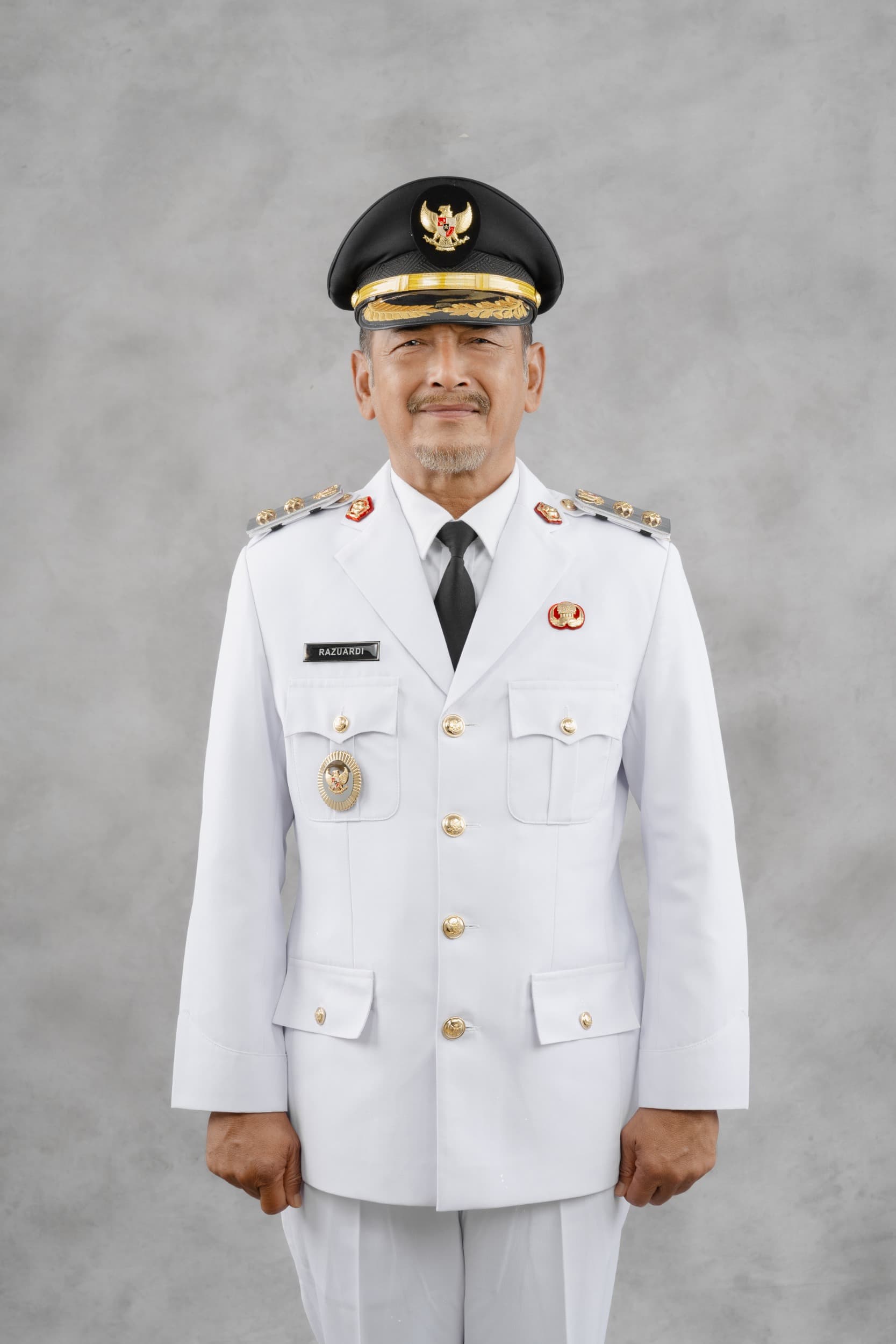 Daftar Wakil Bupati Bireuen