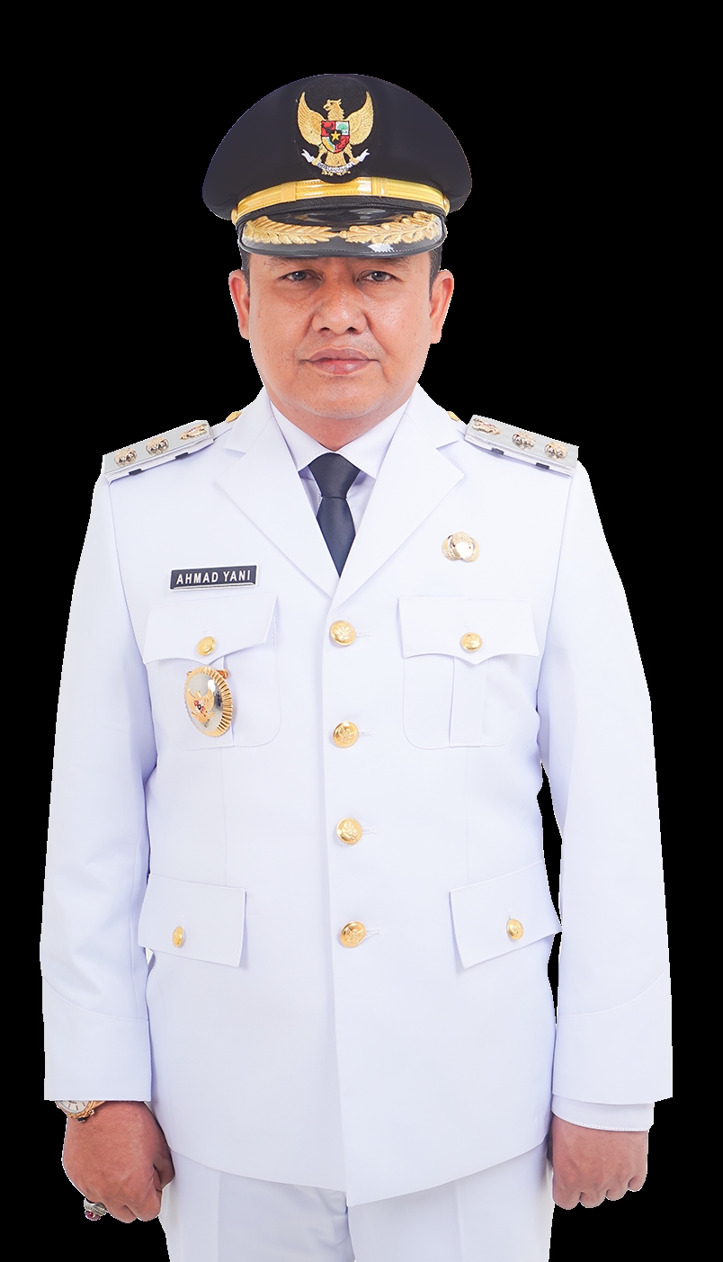 Daftar Wakil Bupati Bombana