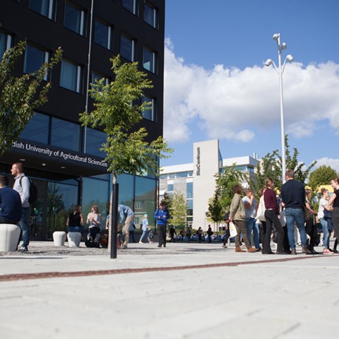 Universitas Ilmu Pertanian Swedia