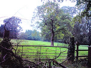 Pertempuran Rowton Heath