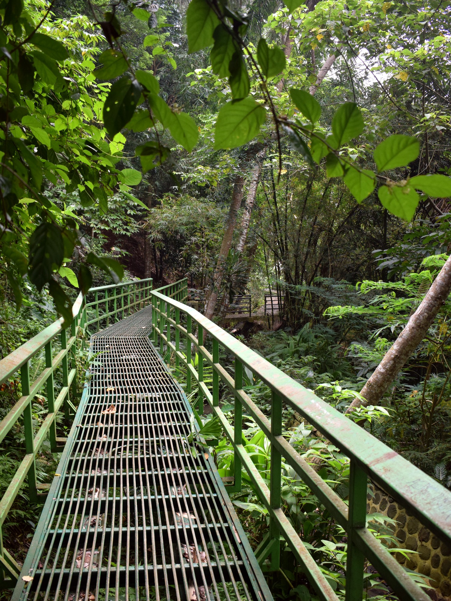 Hutan Kota Bungkirit