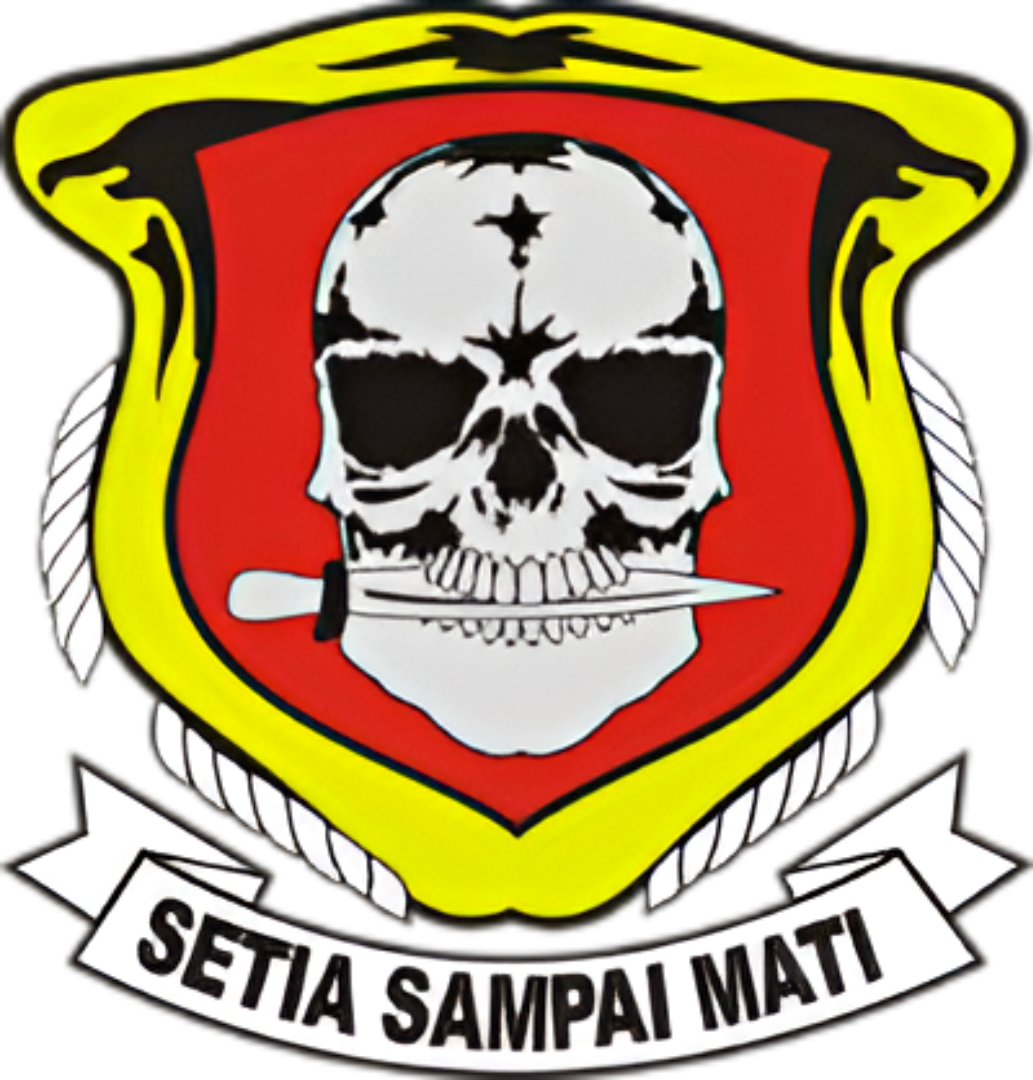 Batalyon Infanteri 303/Raider