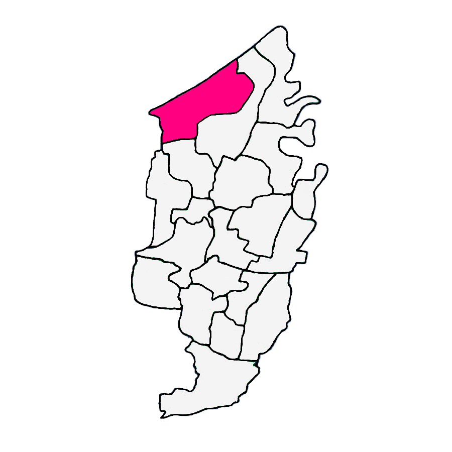 Nyamplungsari, Petarukan, Pemalang