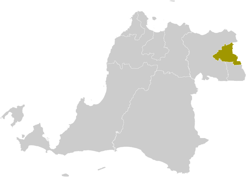 Pemilihan umum Wali Kota Tangerang 2013