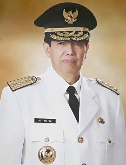 Ali Mufiz