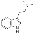 Dimetiltriptamina