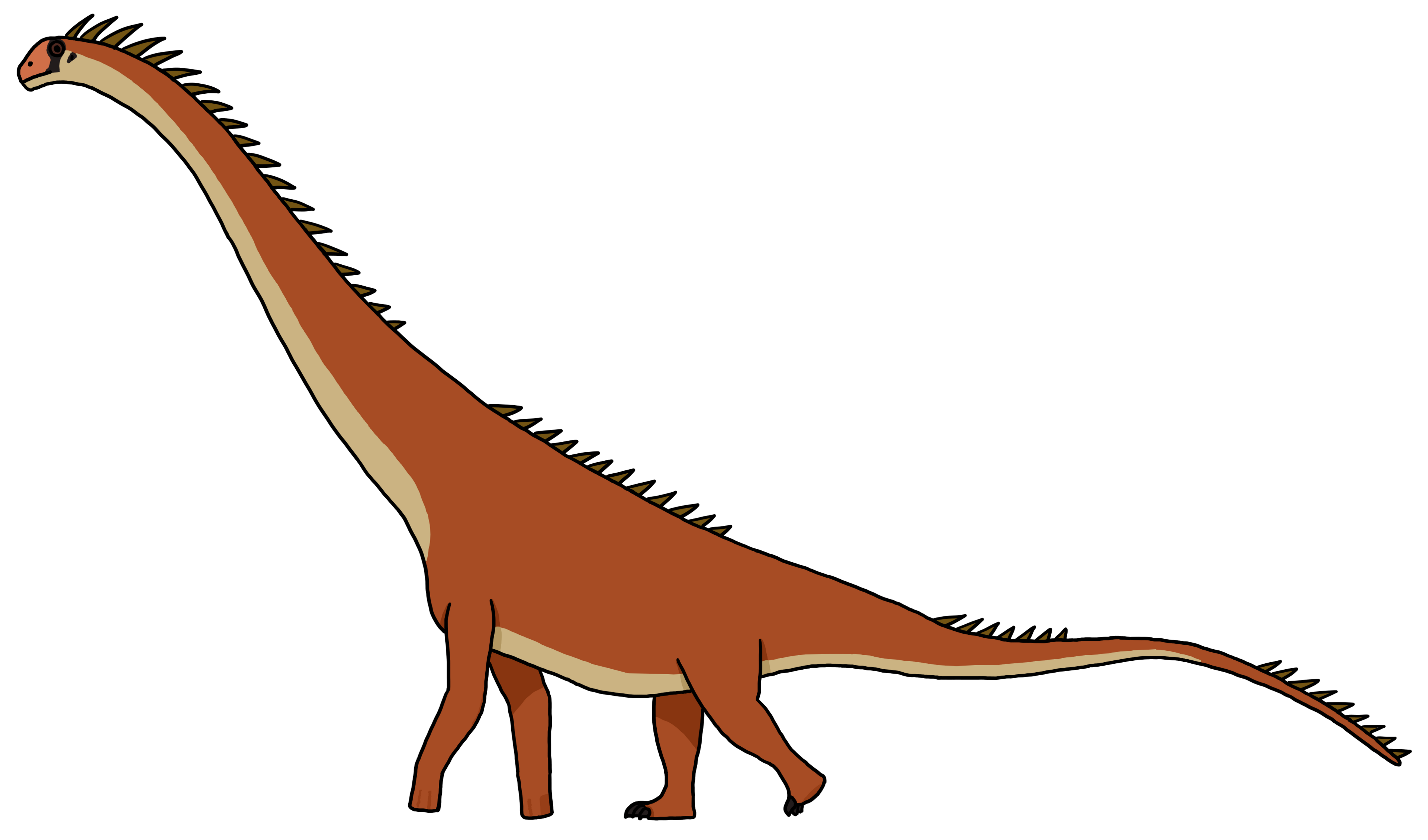 Drusilasaura