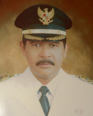 Syahrul Effendi