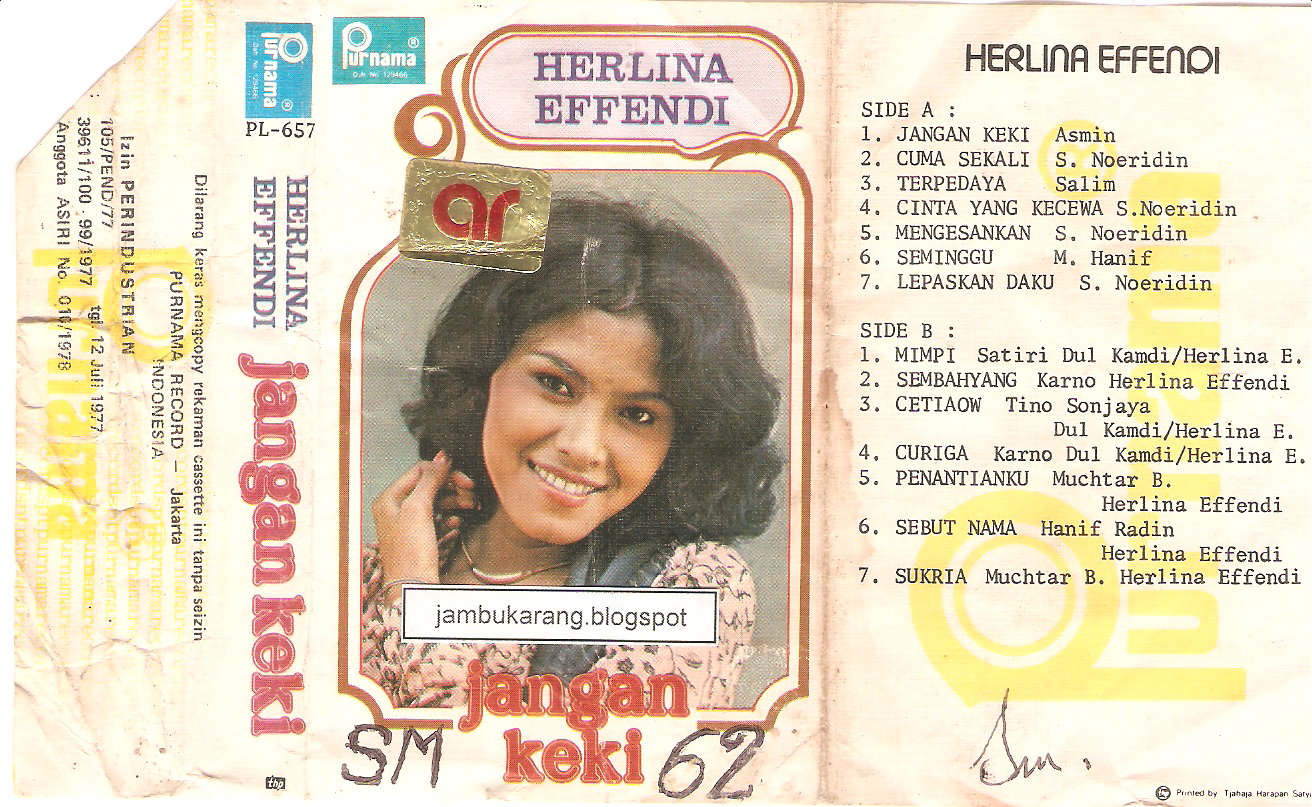 Herlina Effendi