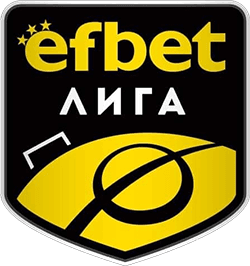 Liga Pertama Sepak Bola Profesional