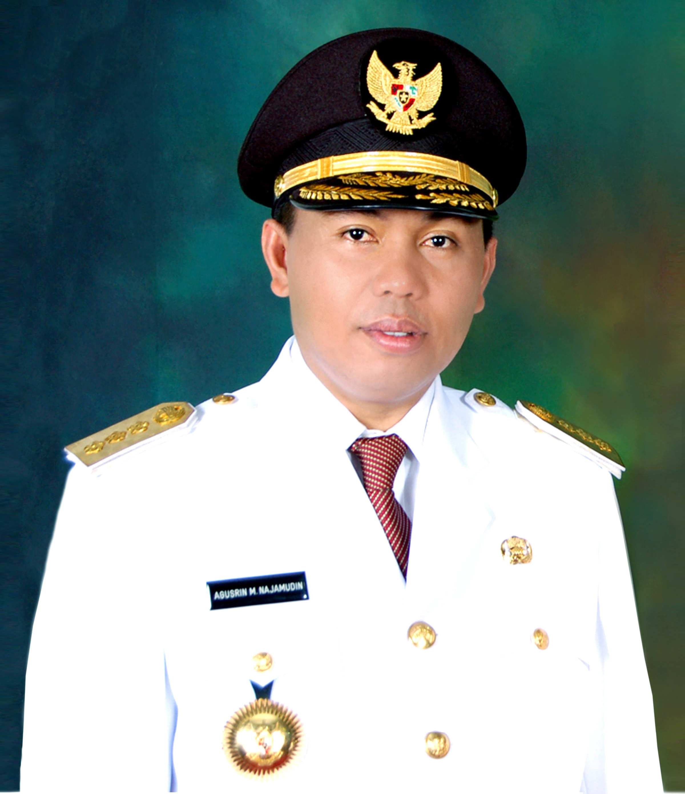 Agusrin Najamuddin Agusrin Najamuddin