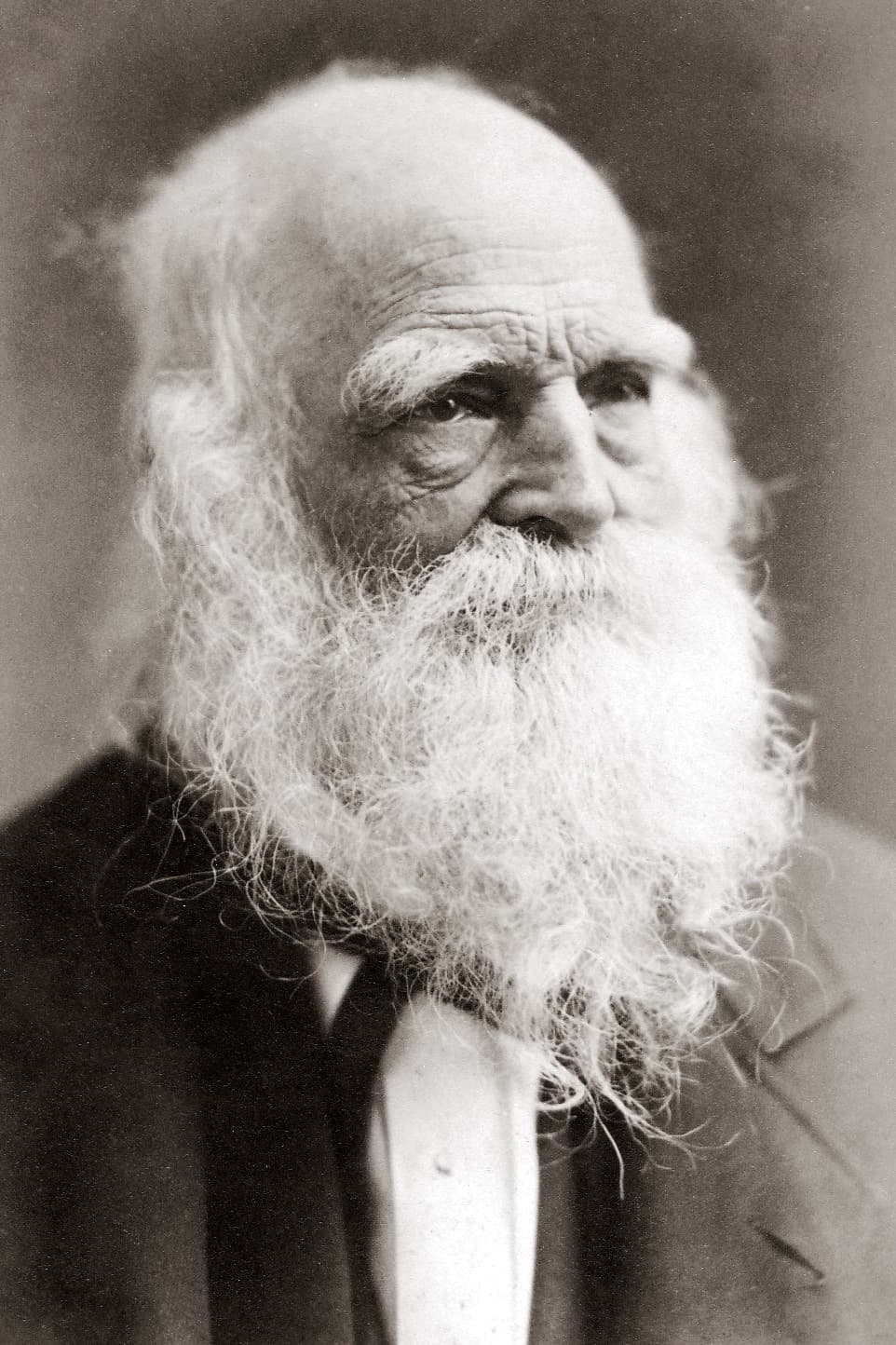 William Cullen Bryant William Cullen Bryant