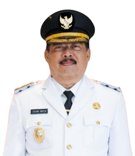 Daftar Wakil Bupati Gianyar Daftar Wakil Bupati Gianyar