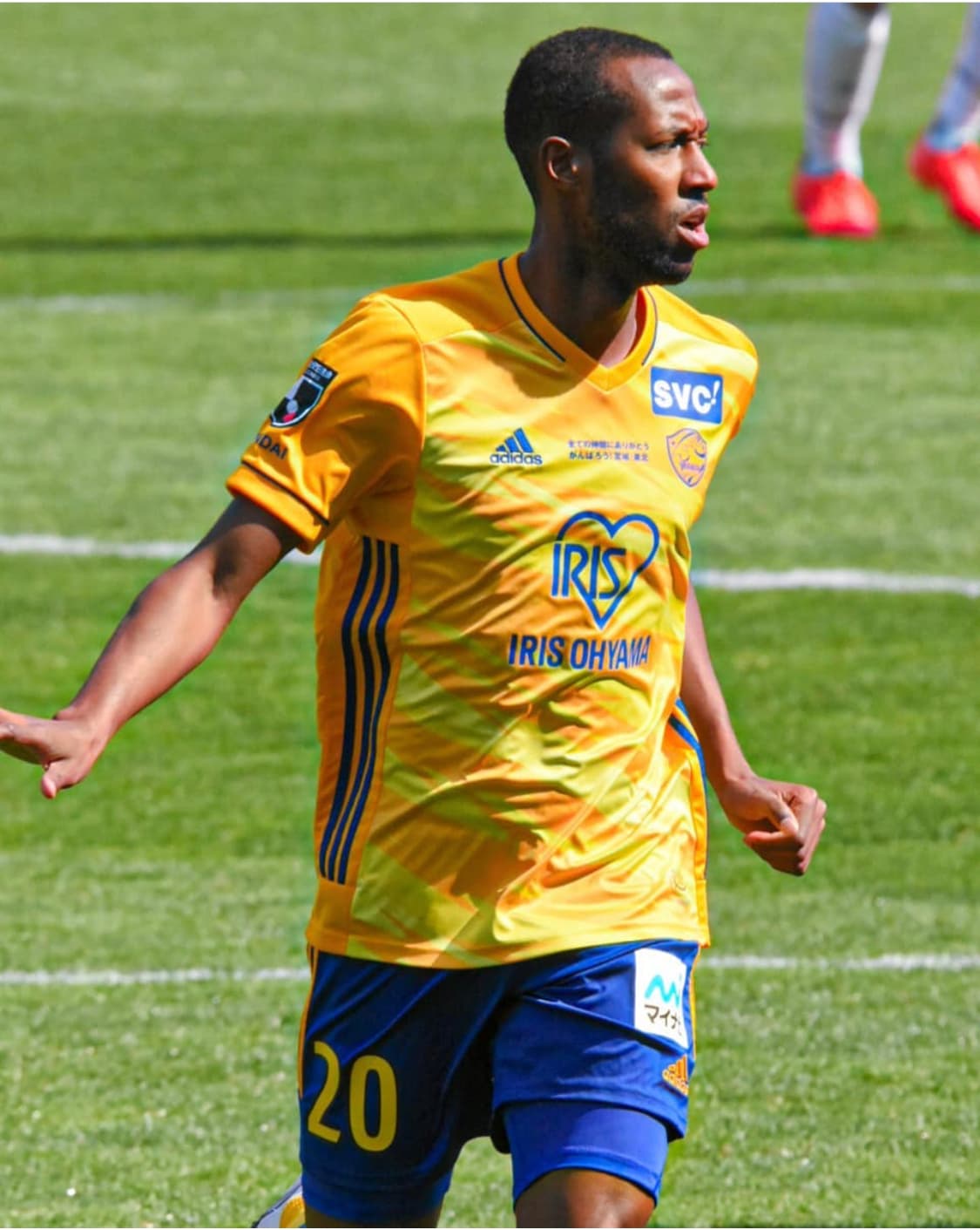 Quenten Martinus Quenten Martinus