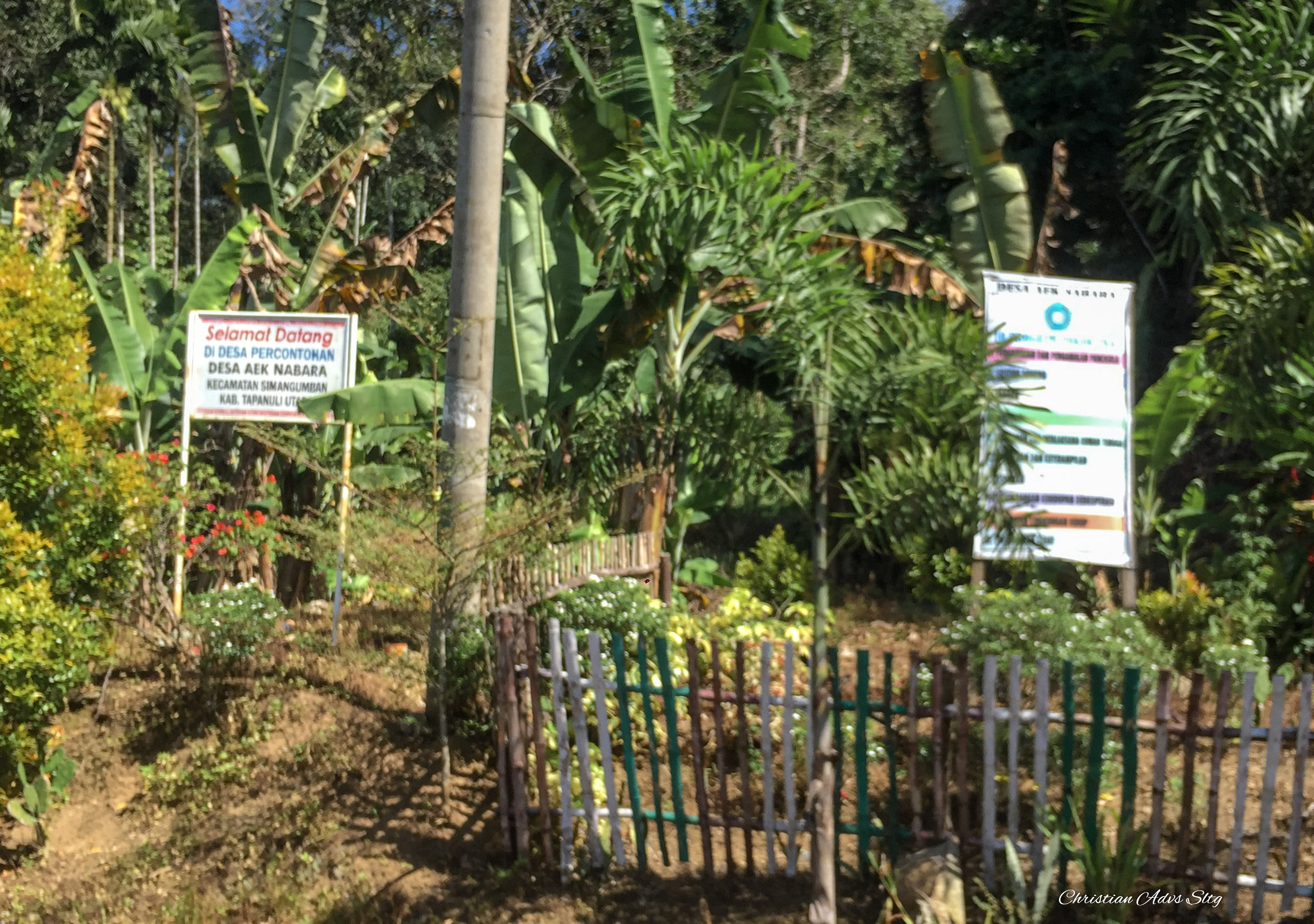 Aek Nabara, Simangumban, Tapanuli Utara Aek Nabara, Simangumban, Tapanuli Utara