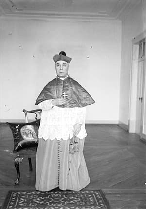 António Mendes Belo António Mendes Belo