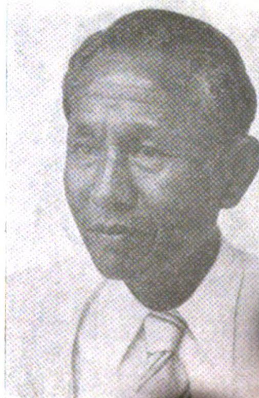 Sutan Said Ali Sutan Said Ali