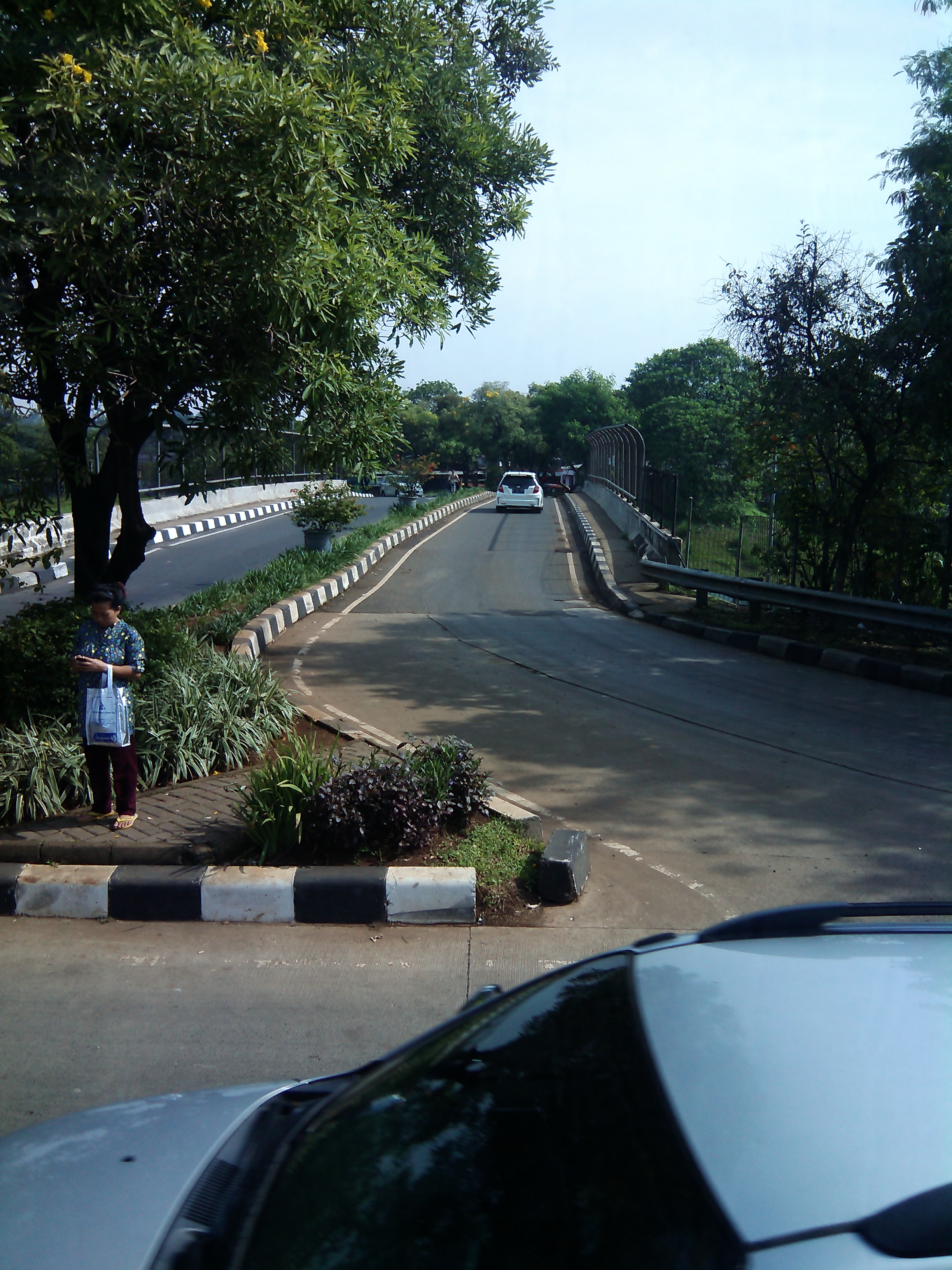 Jalan Raya Mabes Hankam (Jakarta) Jalan Raya Mabes Hankam (Jakarta)