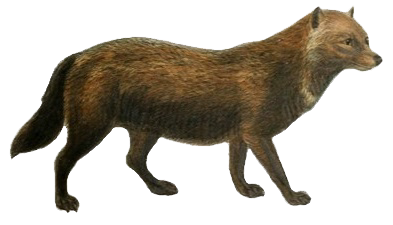 Mbetapa pleistosen Mbetapa pleistosen