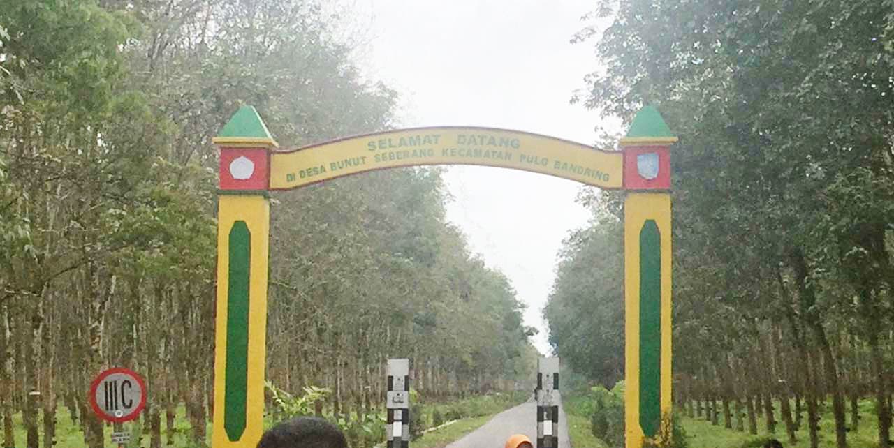 Bunut Seberang, Pulo Bandring, Asahan Bunut Seberang, Pulo Bandring, Asahan