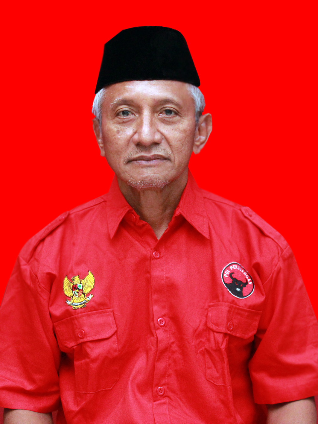 Purnawan Junadi Purnawan Junadi