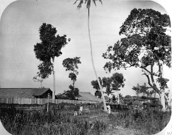 Penaklukan Kuta Alam (1874) Penaklukan Kuta Alam (1874)