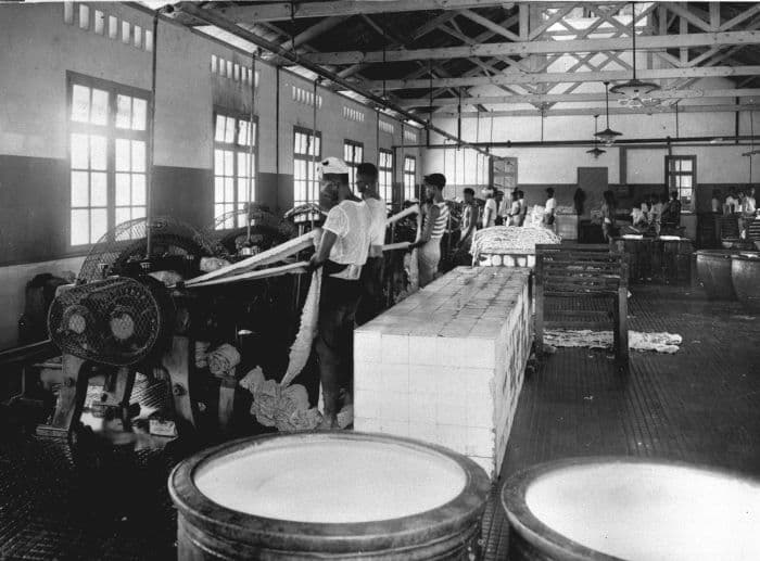 Perkebunan Tanjung Kasau, Laut Tador, Batu Bara Perkebunan Tanjung Kasau, Laut Tador, Batu Bara