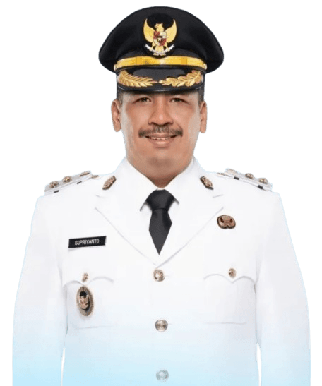 Daftar Wakil Bupati Ogan Komering Ilir Daftar Wakil Bupati Ogan Komering Ilir