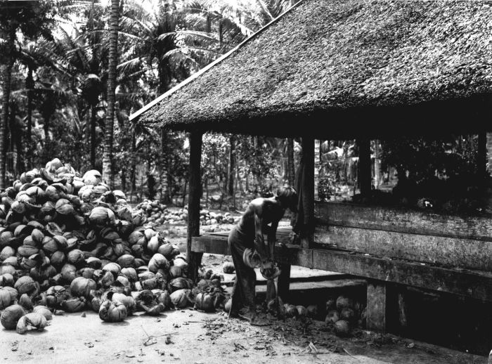 Sei Rampah, Sei Rampah, Serdang Bedagai Sei Rampah, Sei Rampah, Serdang Bedagai