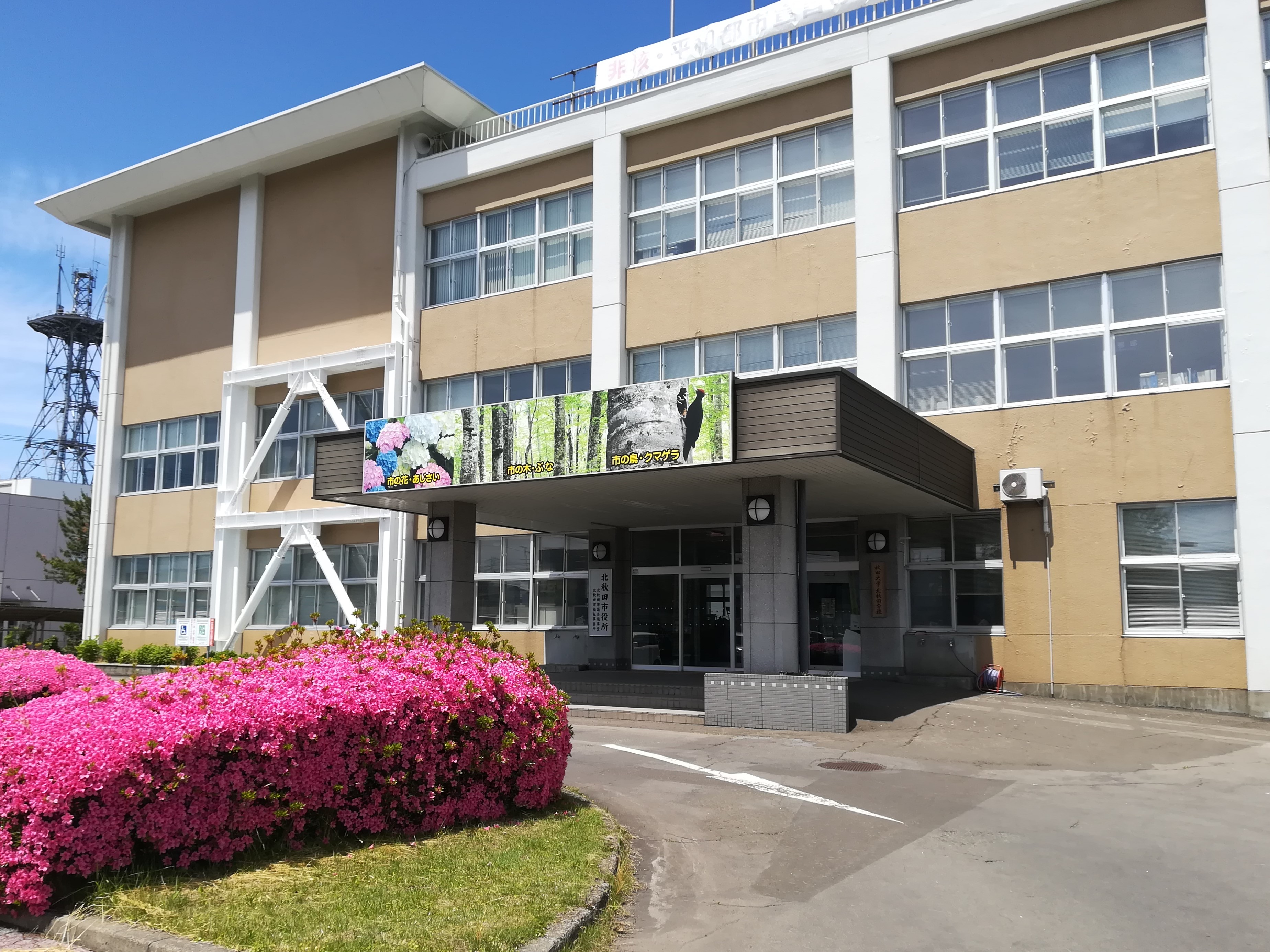 Kitaakita, Akita Kitaakita, Akita