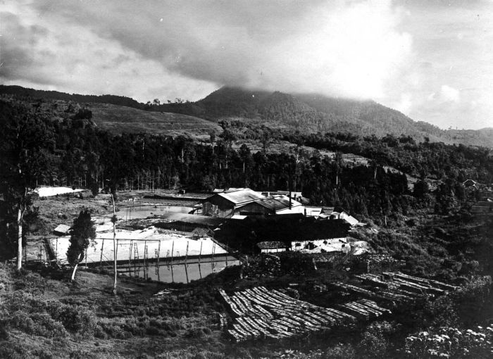 Gunung Patuha Gunung Patuha